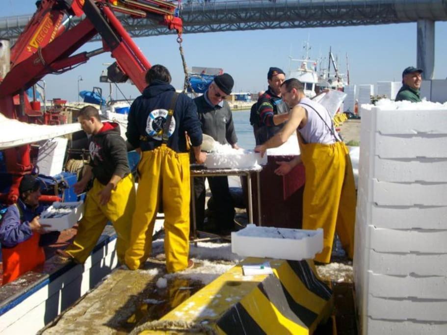 Casa Di Pipo - Appartamento Davanti Al Mare Pescara Eksteriør bilde